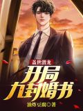 盖世潜龙:开局九封婚书