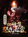 反派达人:我靠收集怒气起家