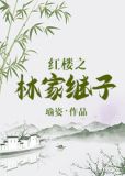红楼之林家继子