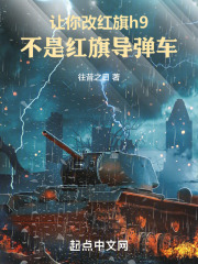 让你改红旗h9,不是红旗导弹车TXT