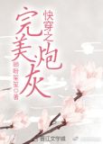 快穿之完美炮灰