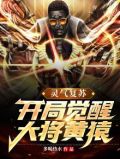 灵气复苏:开局觉醒大将黄猿