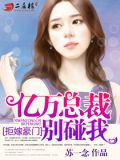 拒嫁豪门:亿万总裁别碰我