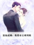 染指成婚:教授老公难伺候
