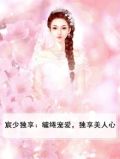 宸少独享:缱绻宠爱,独享美人心