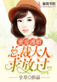 蜜爱逃婚:总裁大人求放过