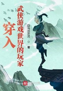 穿入np游戏世界的小说