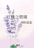 红楼之贾瑚