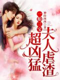 一胎三宝,夫人虐渣超凶猛