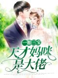 一胎三宝:天才妈咪是大佬