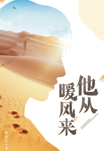 他从暖风来全文免费阅读