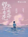 那年樱花未凋落