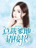 萌宝来袭:爹地请接招