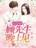 暗恋成殇:顾先生,晚上见