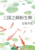 三国之顾盼生辉