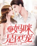 天降萌宝：妈咪是团宠