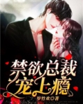 禁欲总裁宠上瘾