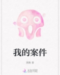 我的案件