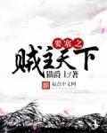 要塞之贼主天下