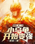 西游:从一只小乌龟开始变强