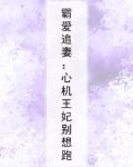 霸爱追妻：心机王妃别想跑