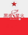 黑夜星火