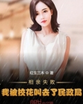 相亲失败,我被校花叫去了民政局