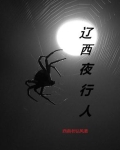 辽西夜行人