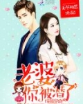霸道宠婚:老婆,你被潜了