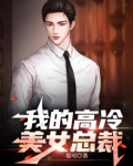 我的高冷美女总裁