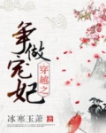 穿越之争做宠妃