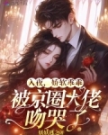 入夜,娇软乖乖被京圈大佬吻哭了