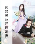 赎罪老公寻债娇妻