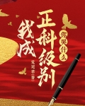 我成正科级别,你哭什么?