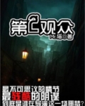 第二观众