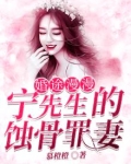 婚途漫漫:宁先生的蚀骨罪妻