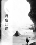 月色归途