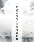 不听话的爱妃:王爷快来哄我