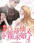 夫人,总裁他又下跪求婚了