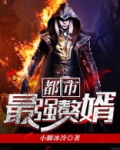 都市最强赘婿(又名:上门女婿,主角:叶辰)