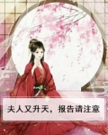 夫人又升天,报告请注意