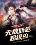 一胎七宝:无敌奶爸超级凶