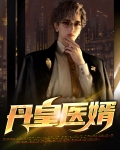 丹皇医婿