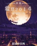 半岛：爱豆2014