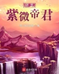 洪荒紫微帝君